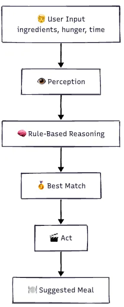 Process Overview on How the Agent works